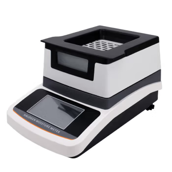 ���͹���������