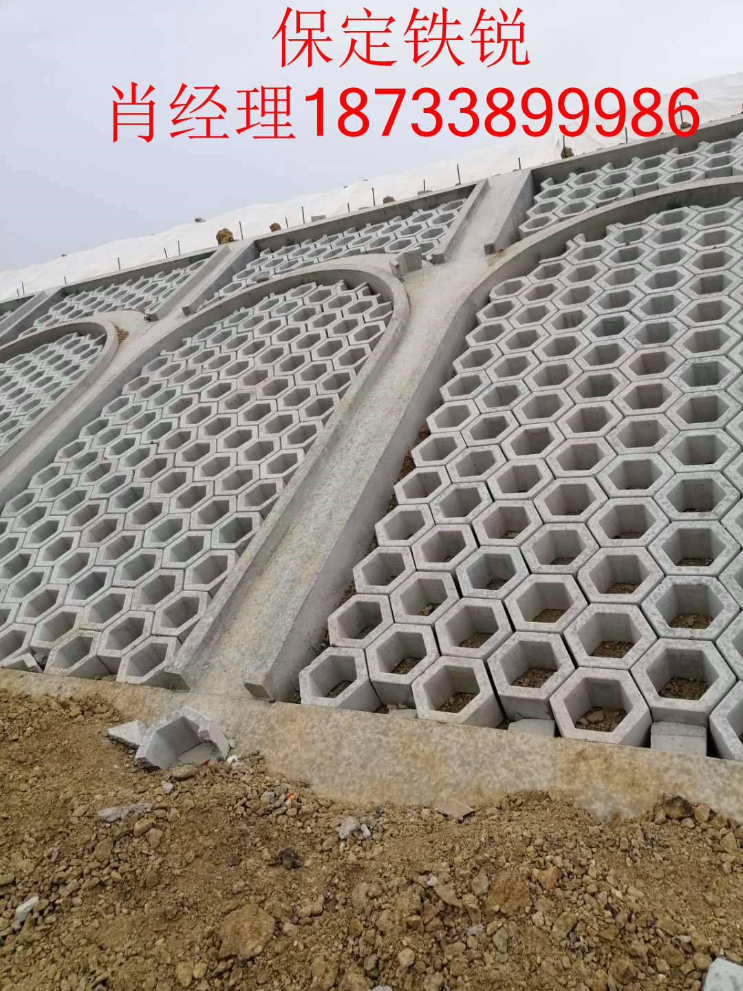 ש·ΪĻשʵĻשĻҪڸٻ£пտֲݣڱˮʧõıٹ·