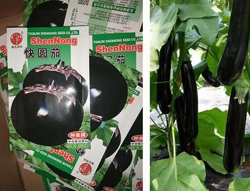 �ٹ����������Ӫ���ೣ�����߲����磬�Ϲ��磬Ҷ�����߲��硣�紺��Խ�ġ����ӡ�Խ����ֲ���߲�����������磬�������硢�ƹ��硢�����硢���������ҳ�����Ҫ����Ʒ�࣬�����硢�˻��硢���������Ҷ�������Ӽ��������磬�����硢����綼���紺Խ�Ĵ���Ʒ�ࡣ