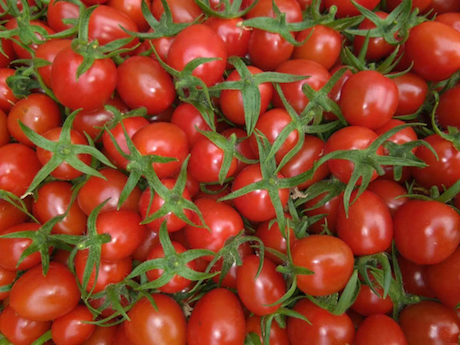 ���ǻ��ص��������磨�޽ӣ�Ʒ�ֱȽ϶࣬������˹�������硢������������������硢��۹��������硢�ڸ��������硢С�����硢��ɽ88С��������ȣ��ʺϸ���������