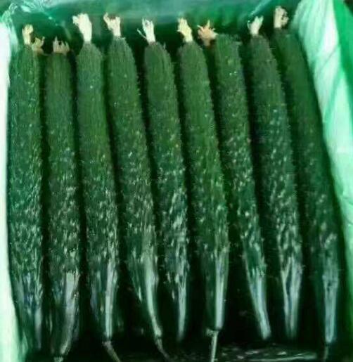 �ƹ��磨Ʒ�ֶ�ɹ�ѡ�񣩡������糧�Ļƹ�����ǿ�ƻƹ��硢ȫ�ƻƹ��硢����Ʒ�ֻƹ��硣