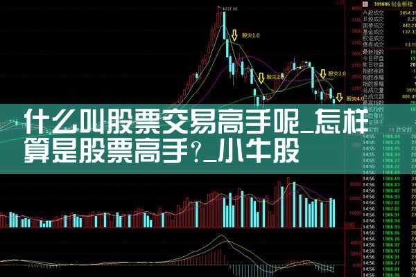 什么叫股票交易高手呢|小牛股