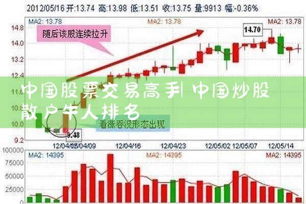 中国股票交易高手
