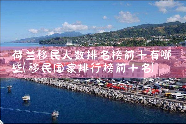 我在办美国投资移民|香港移民