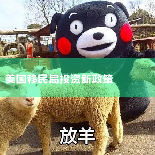 ձӪǩ֤ 1.˾עʽΪ500Ԫ 2.ձй̶İ칫 3.ʵеҵƻ..._ձ