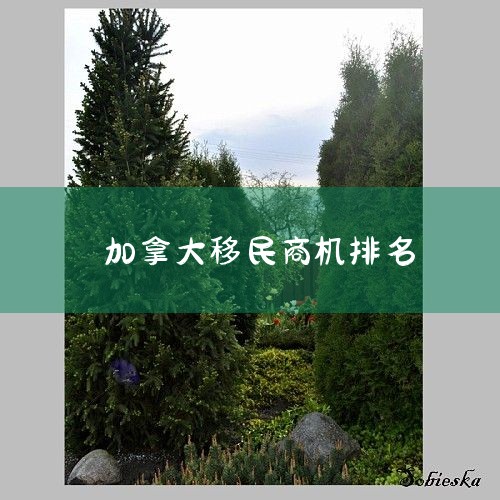 Ĵкܶ,ɼ֥Ӹ硢ŦԼǶ,еĳжʺϻ˾ס.ǰһҪѡԳ,ܱ֤ȥ..._,ѧ
