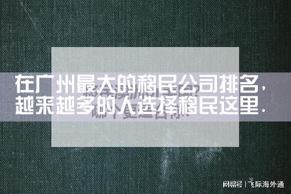 在广州最大的移民公司排名|移民公司