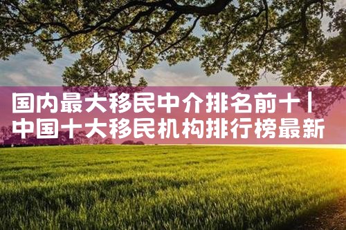 美国投资移民 项目|美国移民,美国留学
