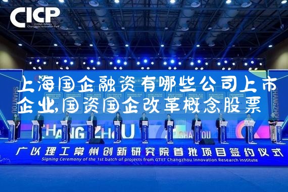 上海企业拟上市辅导私募融资协议公告时间