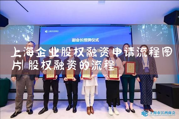上海企业股权融资申请流程图片
