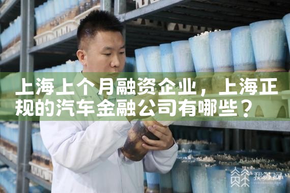 上海自贸区内融资租赁试点企业有哪些名单