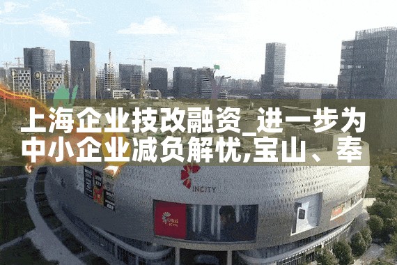 上海市中小微企业融资担保基金