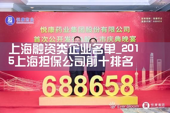 上海政府融资平台企业