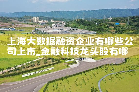 如果全球的企业都到上海来融资