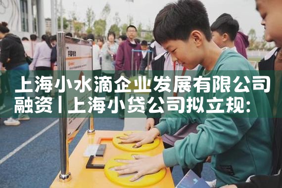 上海企业融资价格查询官网