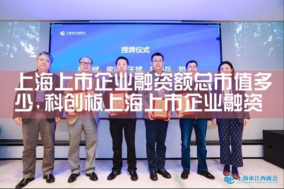 上海企业融资上市流程图