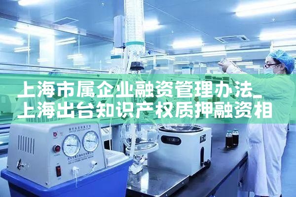 上海大企业融资成本低