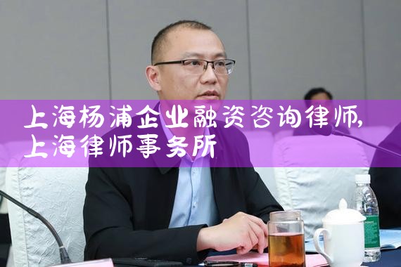 上海企业融资中介有哪些