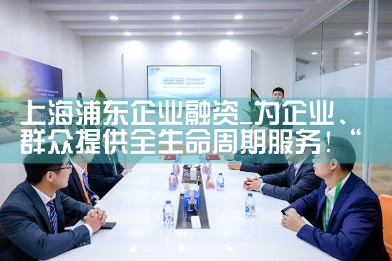 2015年上海融资租赁企业数量增长