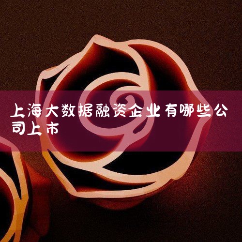 ϺС΢ҵʵ(¼ơʵġ)ɽС΢ҵ,2023ĵʼ20231120231231ڼʵʷ...
