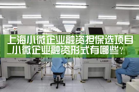 上海化解小微企业融资难