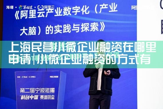 上海中小微企业政策性融资担保基金招聘公告
