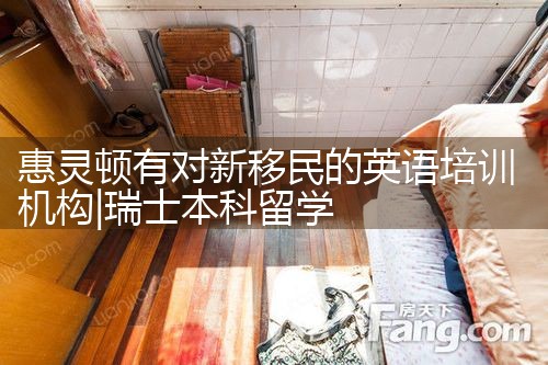 惠灵顿有对新移民的英语培训机构