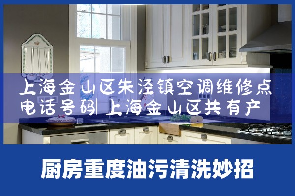 上海金山区朱泾镇空调维修点电话号码|上门维修